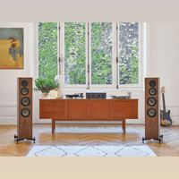 Revival Audio ATALANTE 4 variant 6