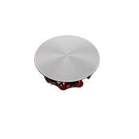 Perlisten R2ic variant 5