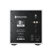 Perlisten R8s variant 11