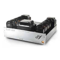 EAR Yoshino 534 variant 1