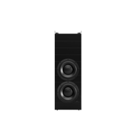 Steinway Lyngdorf BWS-210 variant 1