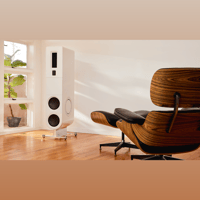 PS Audio Aspen FR20 Loudspeaker variant 4