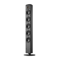 Piega usa Ace 50 Wireless Floorstanding Speakers [Pair] variant 9