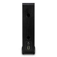 MoFi Electronics SourcePoint 888 Floorstanding Speakers [Pair] variant 13