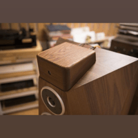 Van den Hul The Extender variant 8