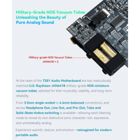 Cayin N6iii T201 variant 5