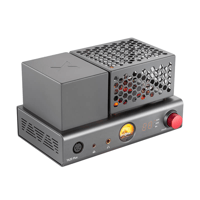 xDuoo xDuoo TA-20 Plus variant 8