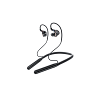 FiiO LC-BT2 variant 8