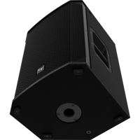 Electro-Voice EKX-12 variant 3