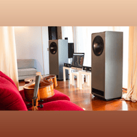 Daniel Hertz Anton variant 12