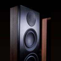 Scansonic L20 – Full Range Floor Stander variant 6