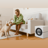 MartinLogan Dynamo 10 variant 1