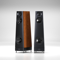 YG Acoustics Ascent variant 1