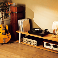 Audio-Technica AT-LP8X variant 3