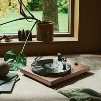 Argon Audio TT-3 PLUS variant 28