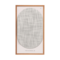 Triangle BR03 CONNECT variant 14