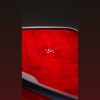 Sonus Faber SUPREMA variant 19