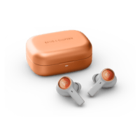 B&O-Bang & Olufsen  Beoplay Eleven variant 1