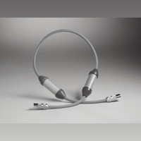 Shunyata Research OMEGA-X AES | S/PDIF | Clock variant 1