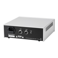 Pro-ject Audio Systems - USA Power Box DS2 Amp variant 7