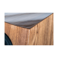 ELAC CFS509.2 variant 13