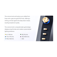 Cayin N6iii T201 variant 26