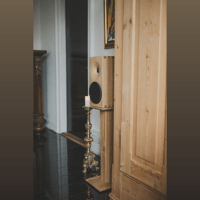 Buchardt Audio E50 variant 16