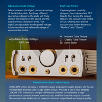 Cayin C9ii Titanium Color Edition variant 7