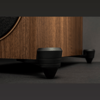 MartinLogan Motion Foundation F2 variant 3