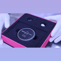 Tipsy Spica 260 variant 7