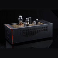 SW1x MPA III “Oracle” Mono Power Amplifier variant 22