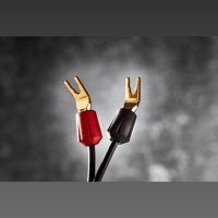 Gryphon Audio Vanta variant 7