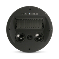 Revel C763L variant 2