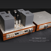 ThivanLabs ULTIMATE 300 – 300B Single-Ended Tube Preamplifier Optical & MM-MC Phono variant 23