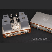 ThivanLabs ULTIMATE 300 – 300B Single-Ended Tube Preamplifier Optical & MM-MC Phono variant 24