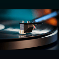 Sumiko Rainier variant 4