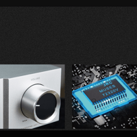 Cayin iHA-8 variant 11