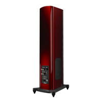 GoldenEar T44 Hybrid Floorstanding Loudspeaker variant 3