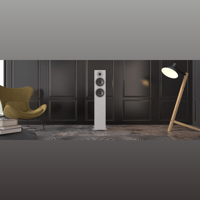 Acoustic Energy AE309 variant 8