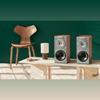 Audiovector R 1 variant 3