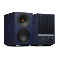 Cambridge Audio L/R X variant 25