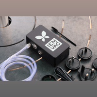 Bellos Audio IEM Vac variant 4