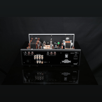 SW1x AMP I “Genie” Integrated Amplifier variant 12