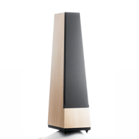 Vandersteen Treo CT variant 1