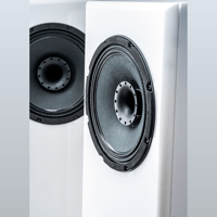 Daniel Hertz Amber Midnight variant 7