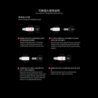 FiiO LC-RB variant 12