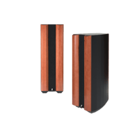 Zingali Acoustics Quantum Array 2.10 variant 1