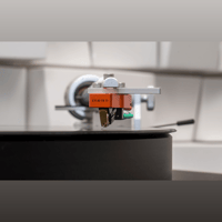 Sumiko Oriole variant 9