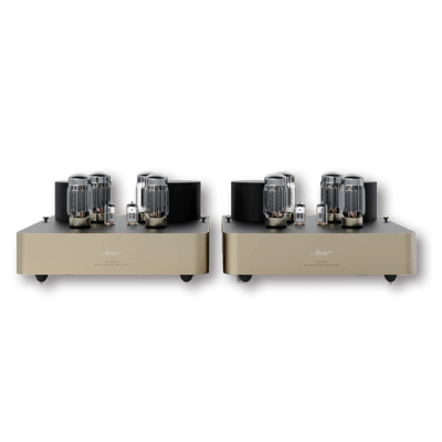 Fezz Audio Olympia Mono Power Amplifier