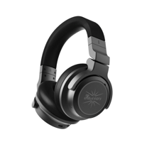 Kiwi Ears Aventus variant 1